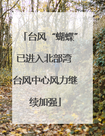 台风“蝴蝶”已进入北部湾 台风中心风力继续加强
