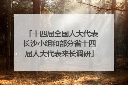 十四届全国人大代表长沙小组和部分省十四届人大代表来长调研