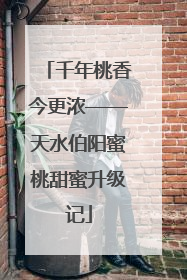 千年桃香今更浓——天水伯阳蜜桃甜蜜升级记