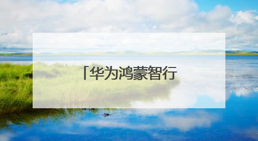 华为鸿蒙智行官宣！智界全系补贴2万元