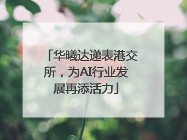 华曦达递表港交所，为AI行业发展再添活力