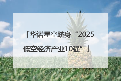 华诺星空跻身“2025低空经济产业10强”