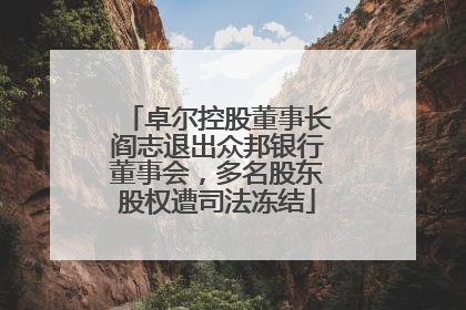 卓尔控股董事长阎志退出众邦银行董事会，多名股东股权遭司法冻结