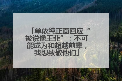 单依纯正面回应“被说像王菲”：不可能成为和超越前辈，我想致敬他们