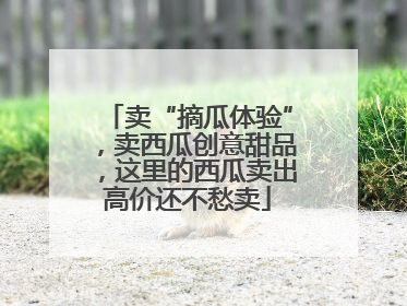 卖“摘瓜体验”，卖西瓜创意甜品，这里的西瓜卖出高价还不愁卖
