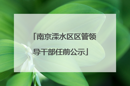 南京溧水区区管领导干部任前公示