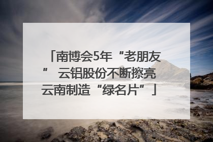 南博会5年“老朋友” 云铝股份不断擦亮云南制造“绿名片”