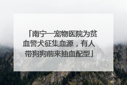 南宁一宠物医院为贫血警犬征集血源，有人带狗狗前来抽血配型