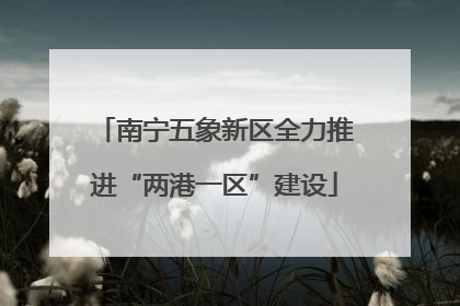 南宁五象新区全力推进“两港一区”建设