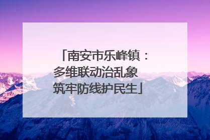 南安市乐峰镇：多维联动治乱象 筑牢防线护民生