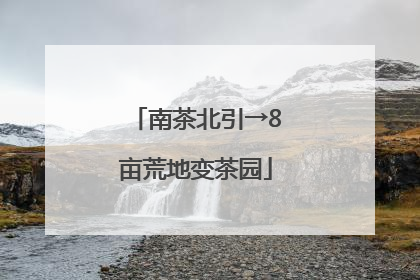 南茶北引→8亩荒地变茶园