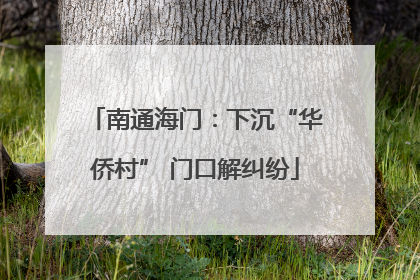 南通海门：下沉“华侨村” 门口解纠纷
