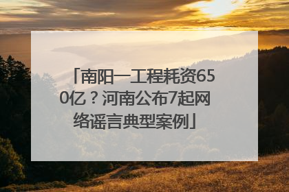 南阳一工程耗资650亿？河南公布7起网络谣言典型案例