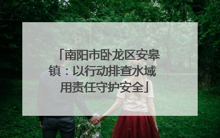 南阳市卧龙区安皋镇：以行动排查水域 用责任守护安全