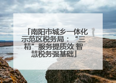 南阳市城乡一体化示范区税务局：“三精”服务提质效 智慧税务强基础