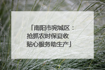 南阳市宛城区：抢抓农时保夏收 贴心服务助生产