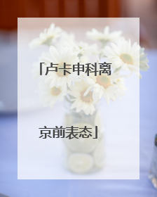 卢卡申科离京前表态