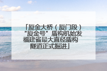 厦金大桥（厦门段）“厦金号”盾构机始发 福建省最大直径盾构隧道正式掘进