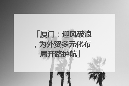 厦门：迎风破浪，为外贸多元化布局开路护航