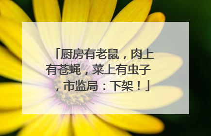 厨房有老鼠，肉上有苍蝇，菜上有虫子，市监局：下架！