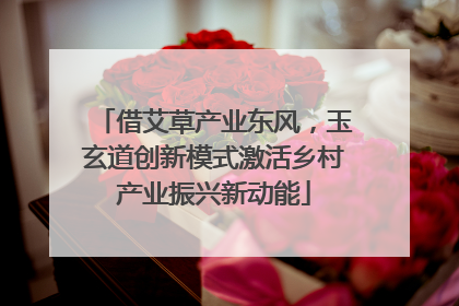 借艾草产业东风，玉玄道创新模式激活乡村产业振兴新动能