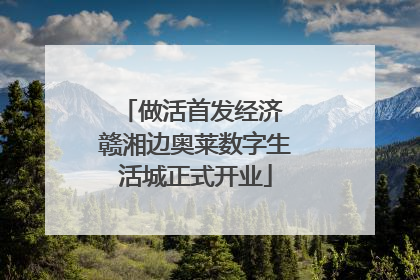 做活首发经济 赣湘边奥莱数字生活城正式开业