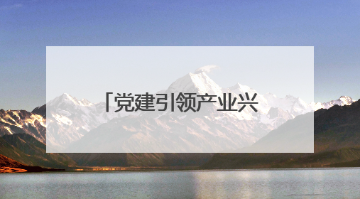党建引领产业兴，紫云小湾村从 “靠天吃饭” 到 “抱团生金”