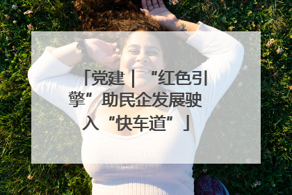党建｜“红色引擎”助民企发展驶入“快车道”