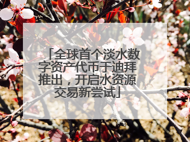 全球首个淡水数字资产代币于迪拜推出，开启水资源交易新尝试