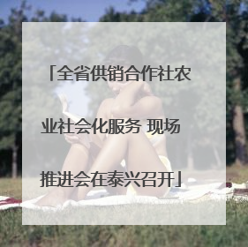 全省供销合作社农业社会化服务 现场推进会在泰兴召开