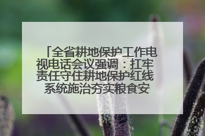 全省耕地保护工作电视电话会议强调：扛牢责任守住耕地保护红线 系统施治夯实粮食安全根基 王宁作出批示 王予波出席并讲话
