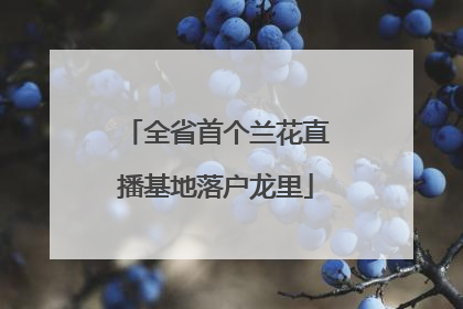 全省首个兰花直播基地落户龙里