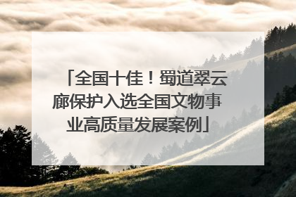 全国十佳！蜀道翠云廊保护入选全国文物事业高质量发展案例
