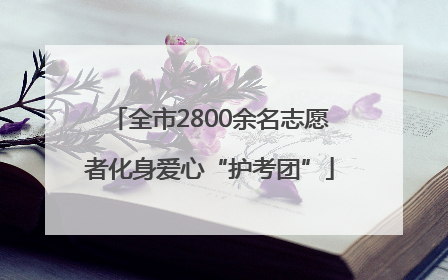 全市2800余名志愿者化身爱心“护考团”