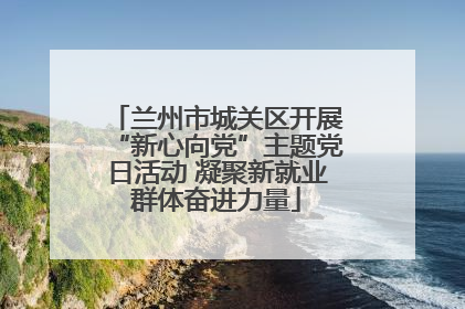 兰州市城关区开展“新心向党”主题党日活动 凝聚新就业群体奋进力量