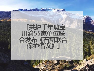 共护千年瑰宝 川渝55家单位联合发布《石窟联合保护倡议》