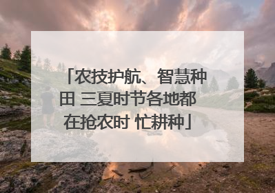 农技护航、智慧种田 三夏时节各地都在抢农时 忙耕种