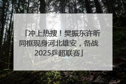 冲上热搜！樊振东许昕同框现身河北雄安，备战2025乒超联赛