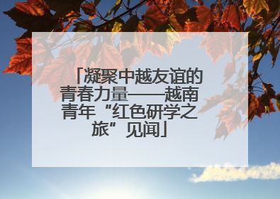 凝聚中越友谊的青春力量——越南青年“红色研学之旅”见闻