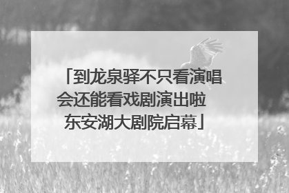 到龙泉驿不只看演唱会还能看戏剧演出啦 东安湖大剧院启幕