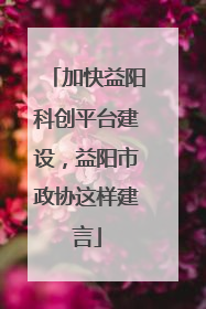 加快益阳科创平台建设，益阳市政协这样建言