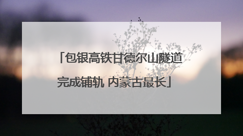 包银高铁甘德尔山隧道完成铺轨 内蒙古最长