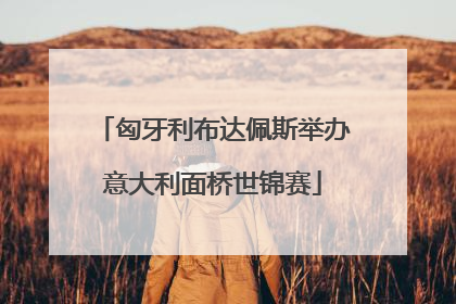 匈牙利布达佩斯举办意大利面桥世锦赛