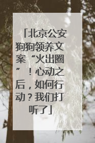 北京公安狗狗领养文案“火出圈”！心动之后，如何行动？我们打听了