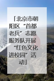 北京市朝阳区“首都老兵”志愿服务队开展“红色文化进校园”活动