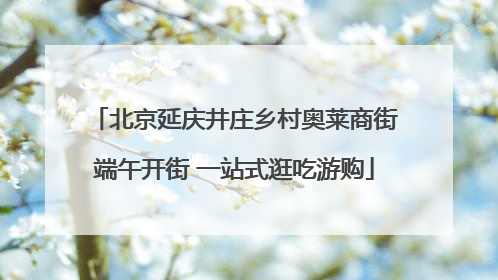 北京延庆井庄乡村奥莱商街端午开街 一站式逛吃游购