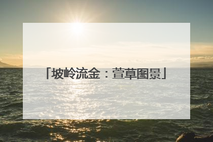 坡岭流金：萱草图景