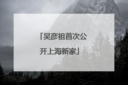 吴彦祖首次公开上海新家