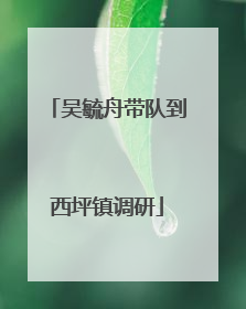 吴毓舟带队到西坪镇调研