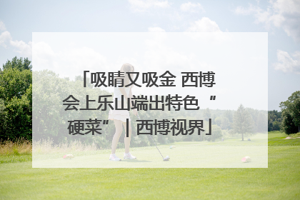 吸睛又吸金 西博会上乐山端出特色“硬菜”｜西博视界